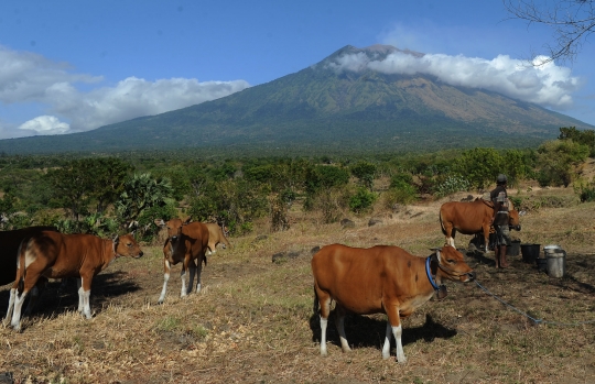 Warga Bali tetap beraktifitas pascaeruspi Gunung Agung