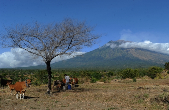 Warga Bali tetap beraktifitas pascaeruspi Gunung Agung
