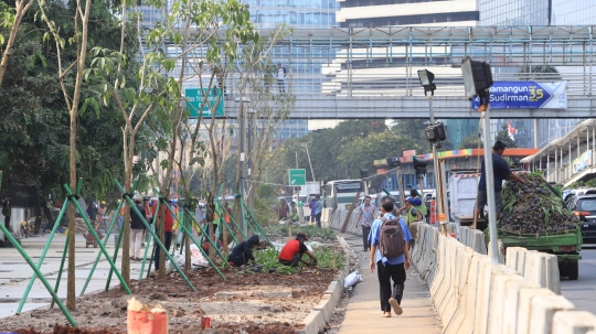 Memantau penataan jalur pedestrian di Jalan Sudirman