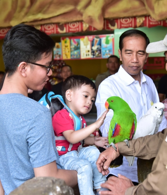 Melihat keasyikan Jokowi jalan-jalan bersama cucu di TMII