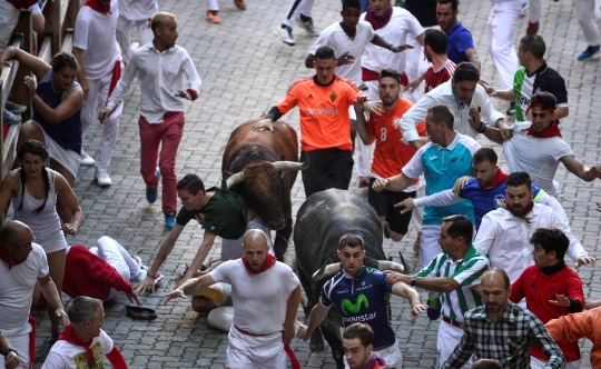 Jatuh bangun hindari keganasan banteng Festival San Fermin