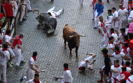 Jatuh bangun hindari keganasan banteng Festival San Fermin