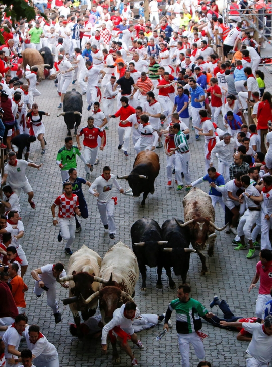 Jatuh bangun hindari keganasan banteng Festival San Fermin