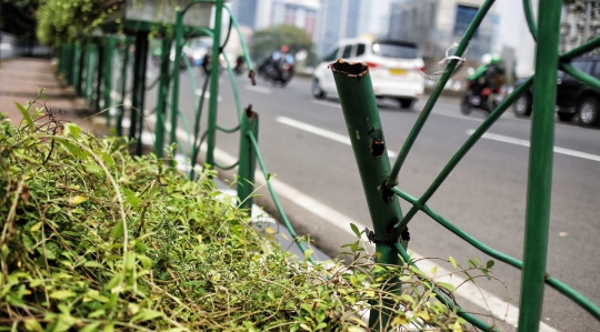 Kurangnya perawatan, pot tanaman hias di trotoar Sudirman memprihatinkan