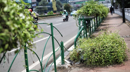 Kurangnya perawatan, pot tanaman hias di trotoar Sudirman memprihatinkan