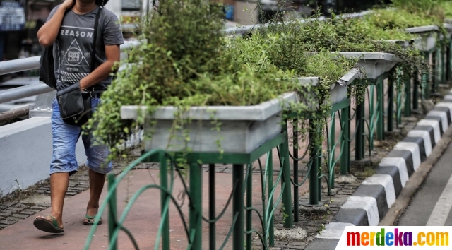 Foto Kurangnya perawatan pot  tanaman  hias di trotoar 