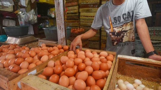 Harga telur ayam turun tipis