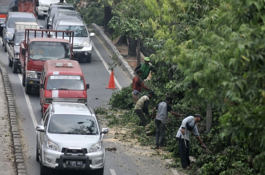 Cegah tumbang, petugas pangkas pohon rimbun di Jalan I Gusti Ngurah Rai