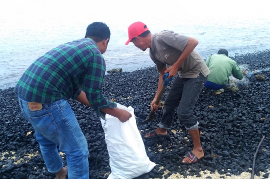 Warga serbu batu bara dari kapal tongkang yang kandas di perairan Aceh