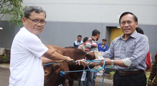 SCM menyerahkan hewan kurban