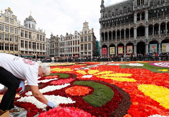 Keindahan karpet bunga raksasa di pusat kota Brussel