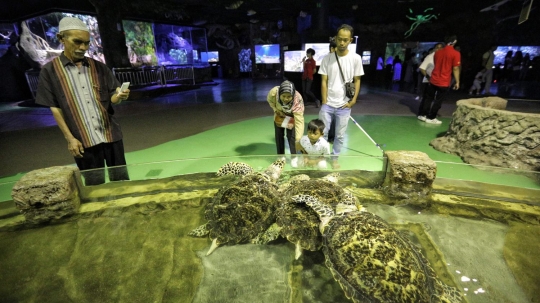 HUT RI, pengunjung padati Seaworld di Ancol