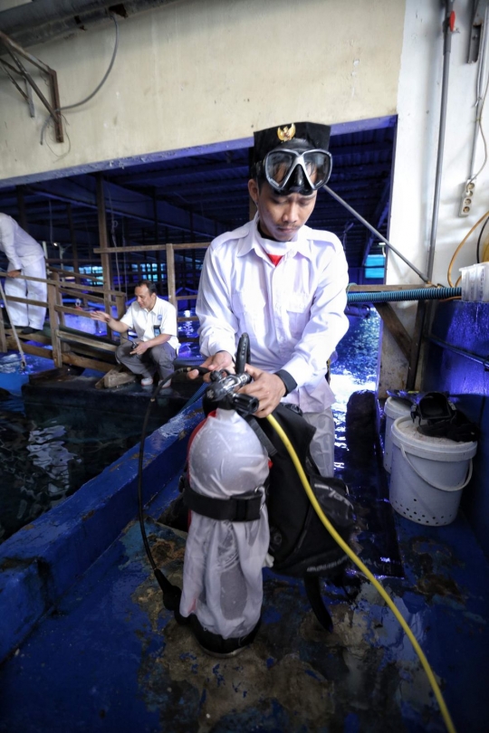 Melihat momen pengibaran bendera HUT RI di Seaworld