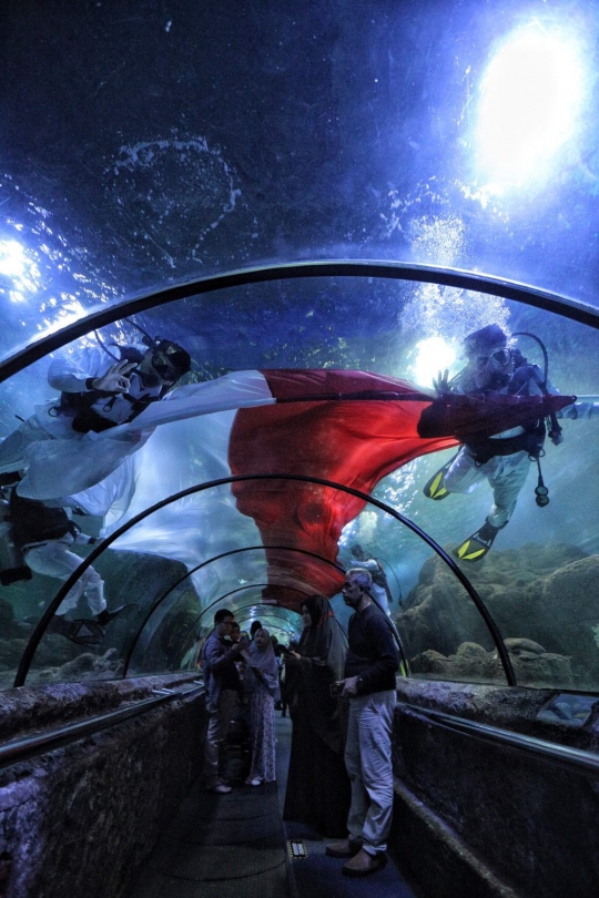 Penyelam arak bendera merah putih raksasa keliling aquarium Seaworld