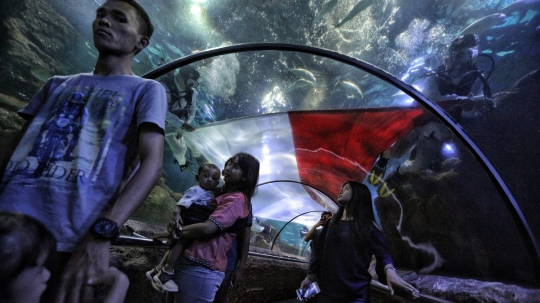 Penyelam arak bendera merah putih raksasa keliling aquarium Seaworld