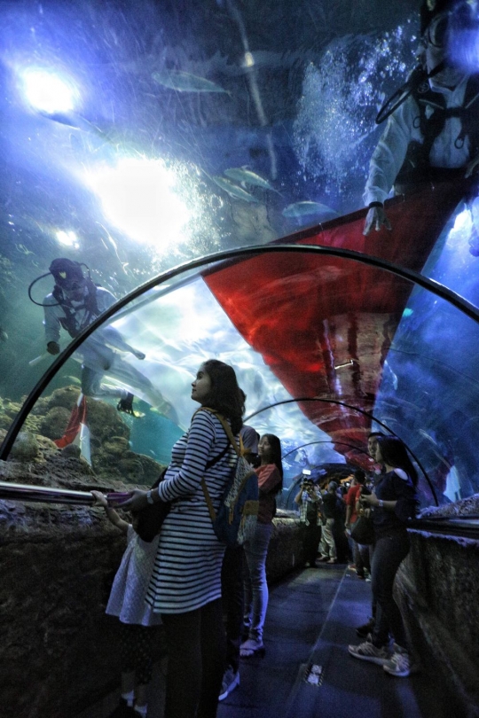 Penyelam arak bendera merah putih raksasa keliling aquarium Seaworld