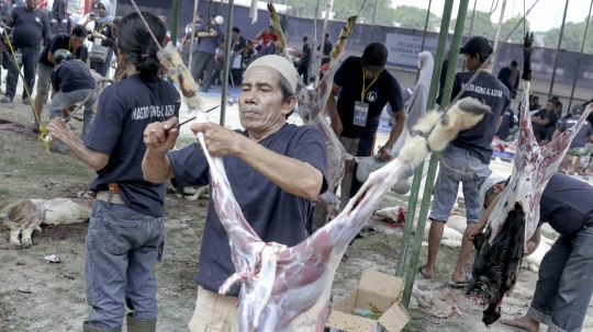 Rayakan Idul Adha, Masjid Agung Al Azhar sembelih ratusan hewan kurban