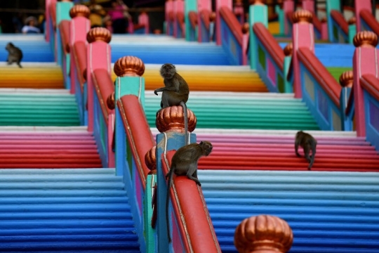 Cantiknya tangga warna-warni Batu Caves di Malaysia