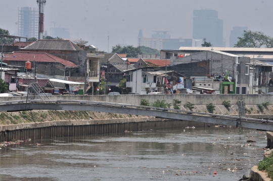 Tumpukan sampah cemari Kali Ciliwung