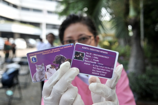 Deteksi penularan rabies, Dinas KPKP pasang microchip pada anjing