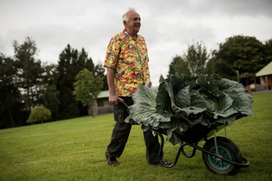 Kompetisi sayuran raksasa di Inggris ini bikin kaget