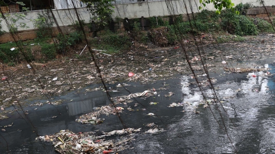 Tidak dibersihkan, anak Kali Krukut dipenuhi sampah