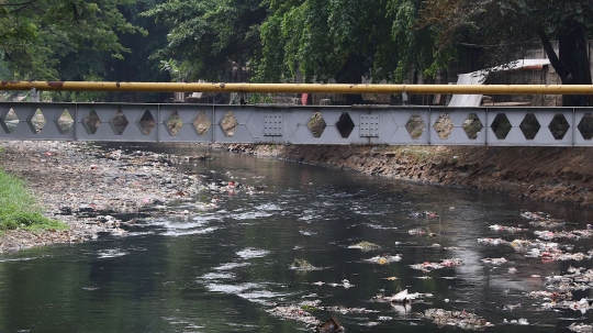 Tidak dibersihkan, anak Kali Krukut dipenuhi sampah