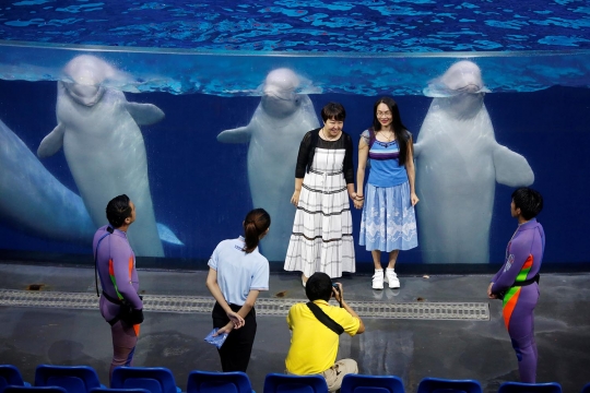 Atraksi Beluga yang menakjubkan di Beluga Teater China