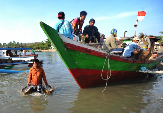 Melimpahnya hasil tangkapan nelayan Sukabumi