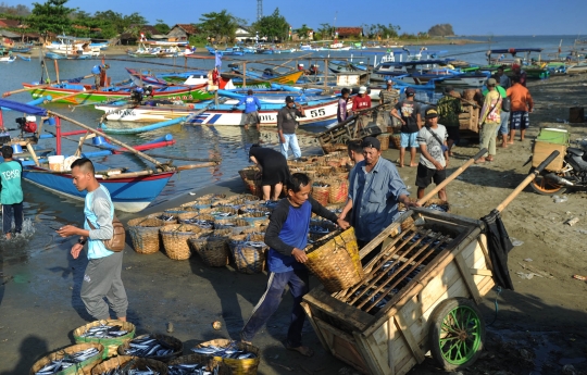 Melimpahnya hasil tangkapan nelayan Sukabumi