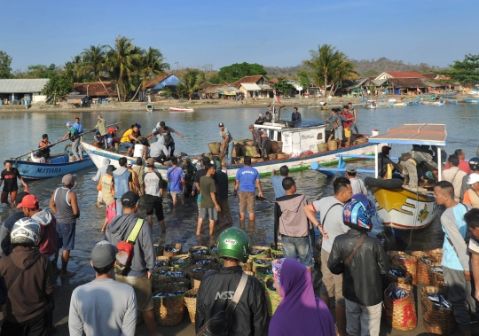 Melimpahnya hasil tangkapan nelayan Sukabumi