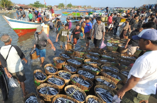 Melimpahnya hasil tangkapan nelayan Sukabumi