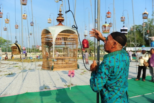 Ribuan burung berkompetisi suara merdu di Thailand