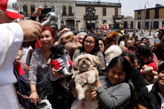 Puluhan hewan peliharaan ikuti upacara pemberkatan di Peru