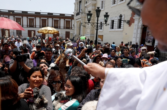 Puluhan hewan peliharaan ikuti upacara pemberkatan di Peru