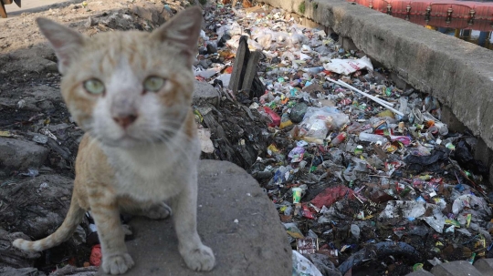 Tak ada penampungan, warga buang sampah di pintu air Kali Item