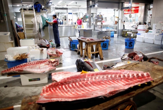 Melihat aktivitas hari pertama pembukaan pasar ikan Toyosu
