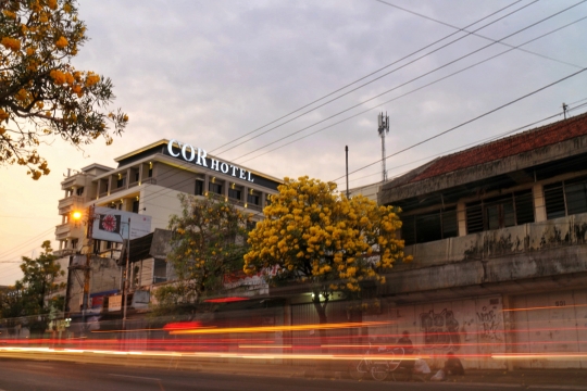 Menikmati keelokan Tabebuya di kota mendoan