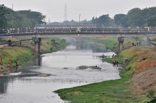 Membersihkan Kanal Banjir Timur dari sampah dan tanaman liar