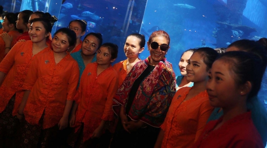 Kenalkan aneka biota laut, Jakarta Aquarium resmi di buka