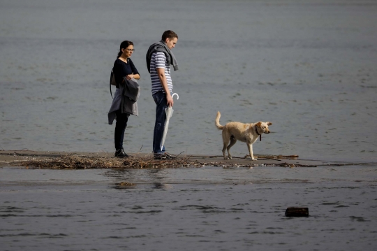 Gumuk pasir muncul di tengah sungai, Serbia dibayangi krisis listrik