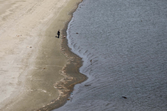 Gumuk pasir muncul di tengah sungai, Serbia dibayangi krisis listrik