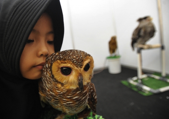 Keakraban dengan Hewan Peliharaan saat Pets Care Day
