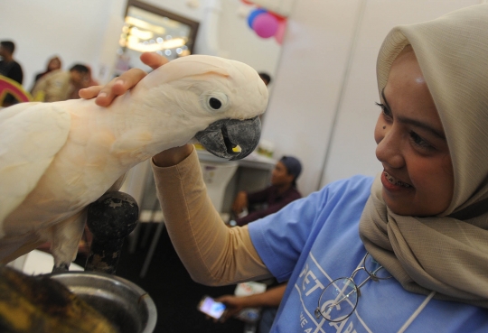 Keakraban dengan Hewan Peliharaan saat Pets Care Day