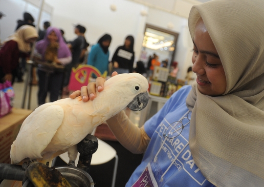 Keakraban dengan Hewan Peliharaan saat Pets Care Day