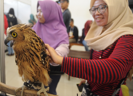 Keakraban dengan Hewan Peliharaan saat Pets Care Day