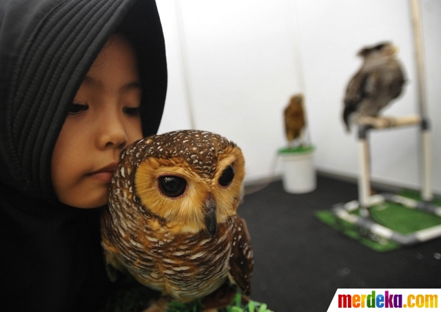 Foto Keakraban Dengan Hewan Peliharaan Saat Pets Care Day