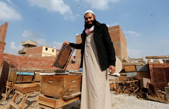 Mengobati Penyakit dengan Terapi Sengat Lebah dari Mesir