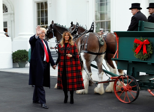 Donald Trump dan Melania Sambut Kedatangan Pohon Natal Gedung Putih