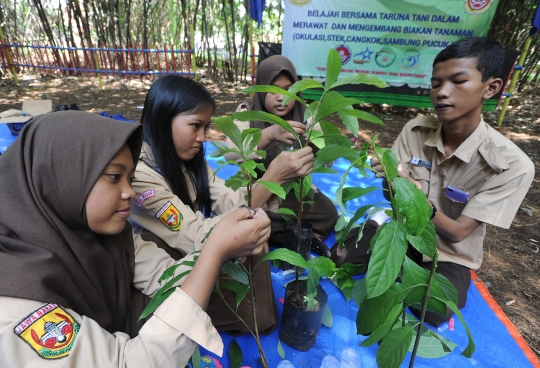 Hari Pohon Sedunia, Karang Taruna Tani Ajarkan Teknik Merawat Tanaman